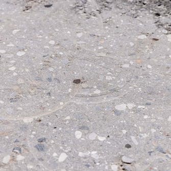 Finsliping av betong Finsliping av betong: Holder du koppen stille, vil den etterlate (svake) spor